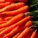 Carrots - Nantes - Very sweet, smooth, bright orange skin. Excellent for fresh, frozen and canning. Stores well. - Click for more details!
